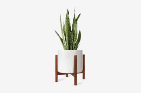 Shop our modern plant stand selection from the world's finest dealers on 1stdibs. 30 Best Plant Stands 2021 The Strategist New York Magazine