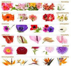 all flowers name in hindi colaboratory