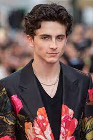 Timothée Chalamet Represents A New Breed Of Hollywood Heartthrob | British  Vogue