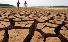 Actividad humana acelera la degradación del suelo - PUEBL@ MEDIA