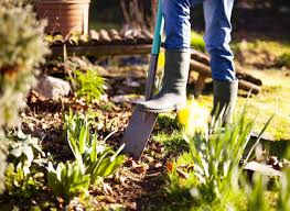 prepare your garden soil for planting