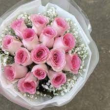 princess roselle 15 pink roses