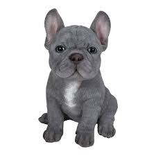 Hi Line Gift Blue French Bulldog Puppy