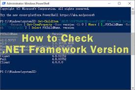 how to check net framework version on