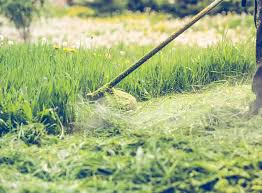 How Much Do Grass Cutting Services Cost