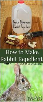 Fr Rabbit Repellent Garden Pests