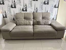 harvey norman leather sofa furniture