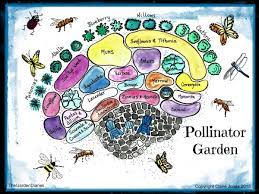 Garden Plan For Pollinators Backyard