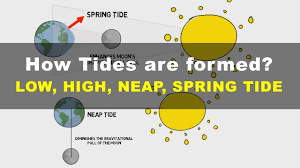 Spring And Neap Tides Diagram Get Rid Of Wiring Diagram