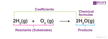 Chemical Equation Questions Practice