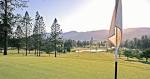 Welcome New Member: Pine Ridge Golf - Springfield Bottom Line