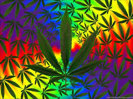 psychedelic weed wallpapers top free