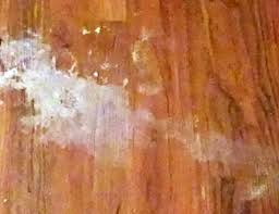 bunny stains off hardwood floors