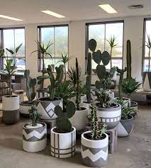 Plant Pot Design