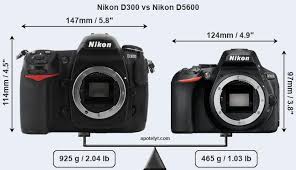 Nikon D300 Vs Nikon D5600 Comparison Review