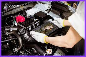 Does Car Insurance Cover Rodent Damage gambar png