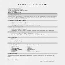 Resume Personal Statement Resume Examples Profile Resume Samples