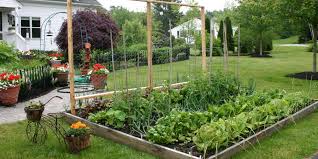Are Front Yard Vegetable Gardens Really