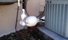 help my air conditioner is frozen