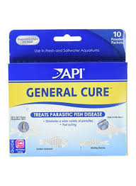 Shop Api Pack Of 10 General Cure Fish Powder Medication Online In Dubai Abu Dhabi And All Uae