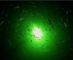 12v Led Green Underwater Boat Light Night Fishing Light Lamp 704298051934 Ebay