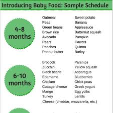 homemade baby food introducing solids