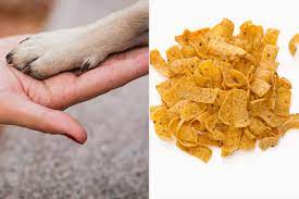why do my dog s paws smell like fritos