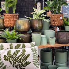 pots for indoor plants seattle s