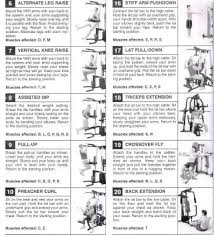 Weider Home Gym Systems Exercise Guide Pdf Sport1stfuture Org