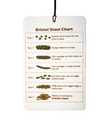Bristol Stool Chart Car Air Freshener