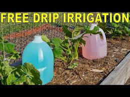 Diy Garden Dip Irrigation System