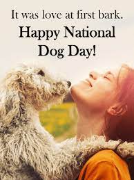 What better way than to have a dedicated day for spoiling our dogs than on international dog day 2021. National Dog Day Cards 2021 Happy National Dog Day Greetings 2021 Birthday Greeting Cards By Davia Free Ecards