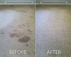 carpet stain removal newnan ga