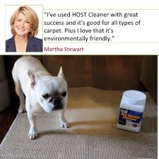host dry carpet rug cleaning kit