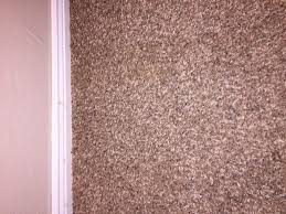 pet damage carpet repair in mesa az
