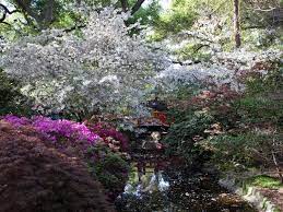 Japanese Gardens In Los Angeles And