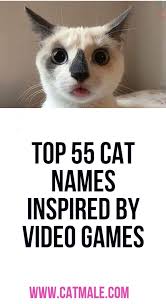 Cat names that are friendly, tough, funny, cute, geeky and more! Top 55 Cat Names Inspired By Video Games Cat Names Cats Die Hard Game