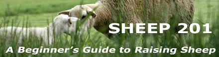 Sheep 201 Internal Parasite Worm Control