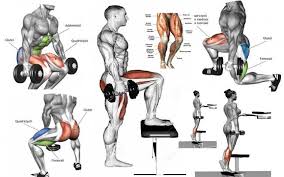 Great Legs Routine Using Dumbbells Valentin Bosioc