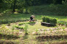 the principles of permaculture and how