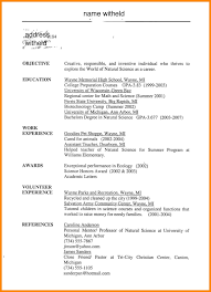 10 High School Student Resume Objective Examples Boy Friend Letters