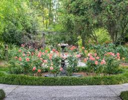 top 6 gardens to see bloom in savannah