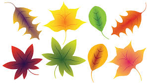 Download high quality leaf clip art from our collection of 41,940,205 clip art graphics. Fall Leaves Clip Art A Free Clip Art Bundle That S Too Good To Miss