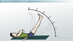 What Is Range Of Motion Rom Definition Types Testing Exercises