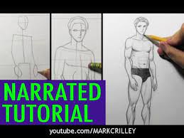 how to draw male body proportions