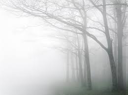 Image result for fog