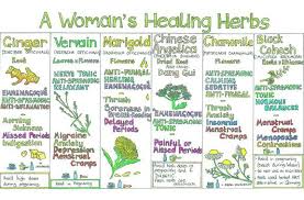Herbs That Heal And A Super Easy Way Of Understanding