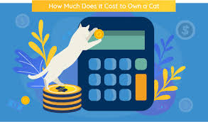 How Much Does It Cost To Own A Cat Were All About Cats
