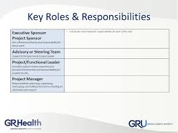 Project Organization Chart Roles Responsibilities Matrix