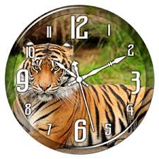 Image result for tiger clock images